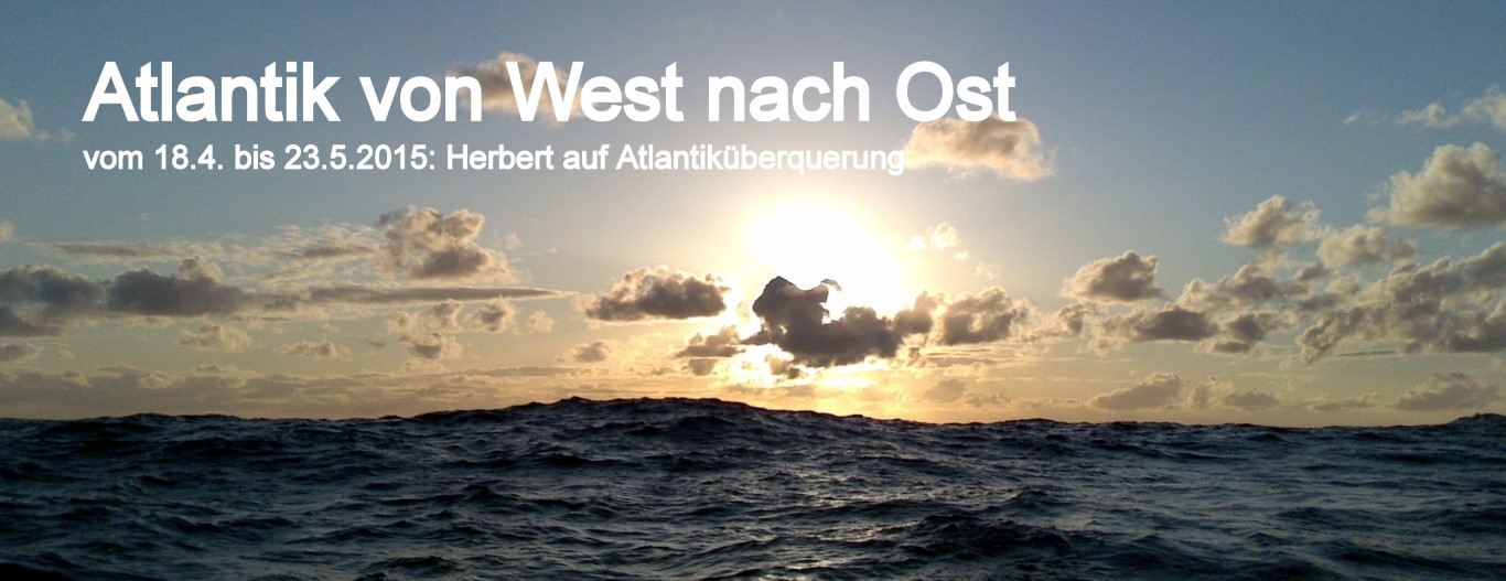 Herbert auf Atlantiküberquerung