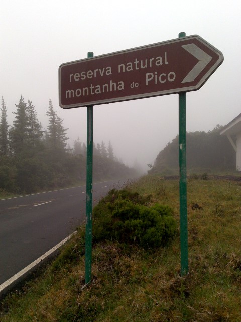 Pico Schild