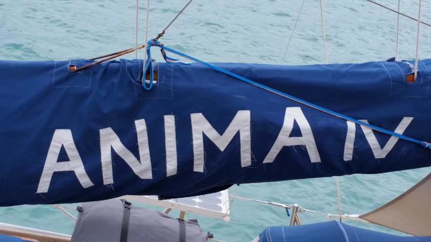 ANIMA IV